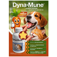 Dyna-Lode tabletta idősödő kutyák és macskák részére #2