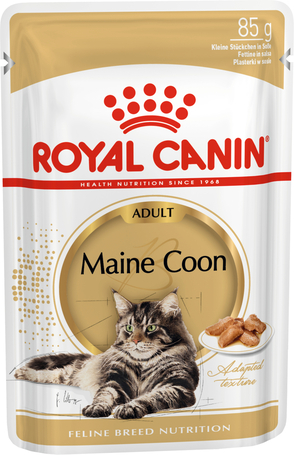 Royal Canin Maine Coon Adult - Maine Coon felnőtt macska nedves táp