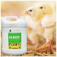 Liq-Biotic hasmenés elleni gyógynövényes itatófolyadék #2