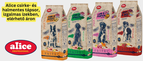 Alice Adult Balance Lamb & Pumpkin