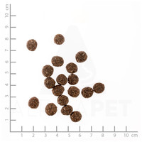 Belcando Finest Grain-Free Lamb | Táp válogatós, gabonára érzékeny kutyáknak | Kis- és közepes testméretű fajtáknak #9