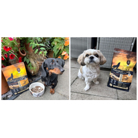 Nyulas táppal bővült az Ambrosia tápcsalád, kistestű kutyáknak