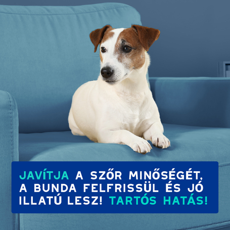 Douxo Spa szagsemlegesítő sampon kutyáknak