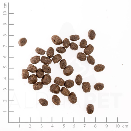 Belcando Puppy Gravy | Szószos táp kölyökkutyáknak