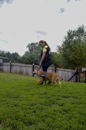 Pufirizsa, 8 éves ivartalanított szuka