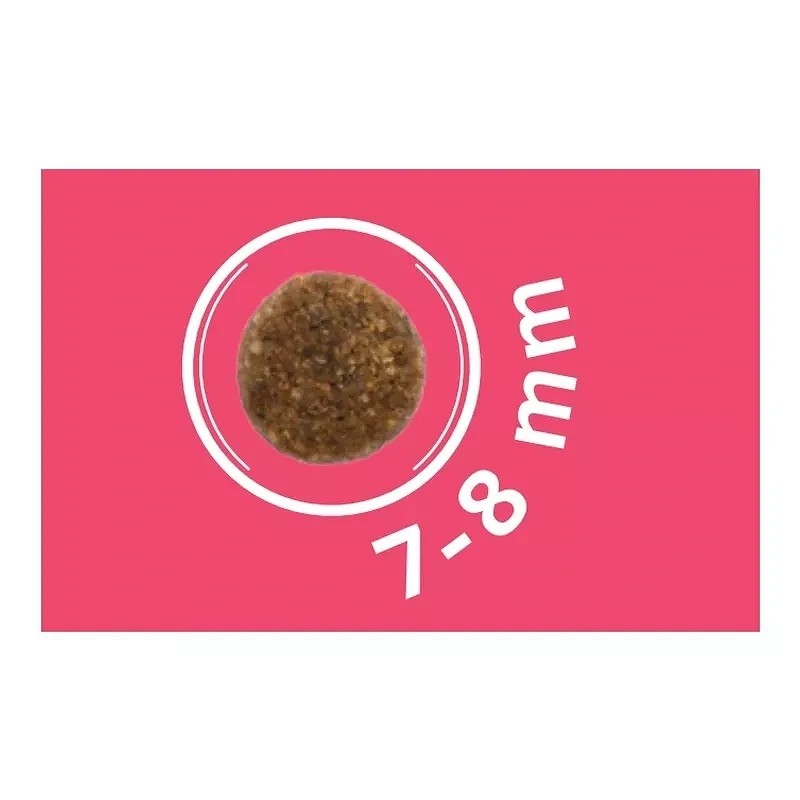 Dog Vital hipoalergenic adult mini cu porc - zoom