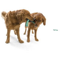 West Paw Seaflex Snorkl - Bumeráng és kötélhúzó játék #8