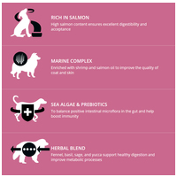 Profine Adult Salmon & Potatoes | Hipoallergén felnőtt kutyatáp lazachússal és burgonyával #5