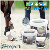 Anibent pataagyag lovaknak bentonittal #2