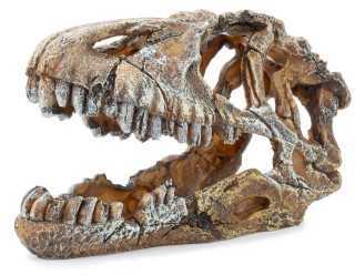 Decorațiune pentru acvariu, craniu de dinozaur