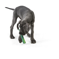 West Paw Seaflex Drifty - Csontot imitáló rágóka #15