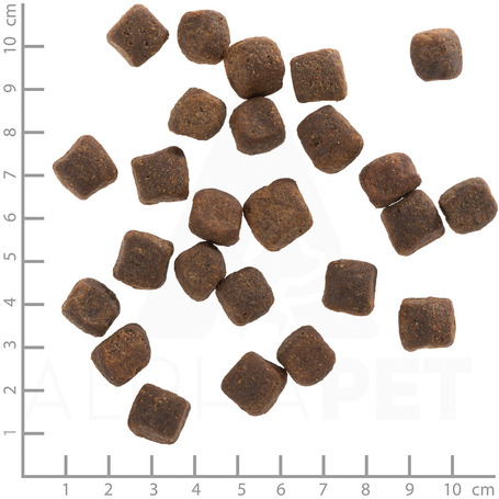 Wolfsblut Dark Forest Adult vadhús édesburgonyával