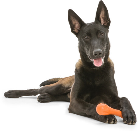 West Paw Hurley - Tartós rágóbot