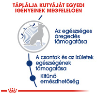 Royal Canin Maxi Ageing 8+ | Nagytestű idős kutya száraz táp #5
