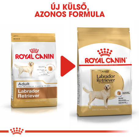 Royal Canin Labrador Adult - Labrador Retriever felnőtt kutya száraz táp
