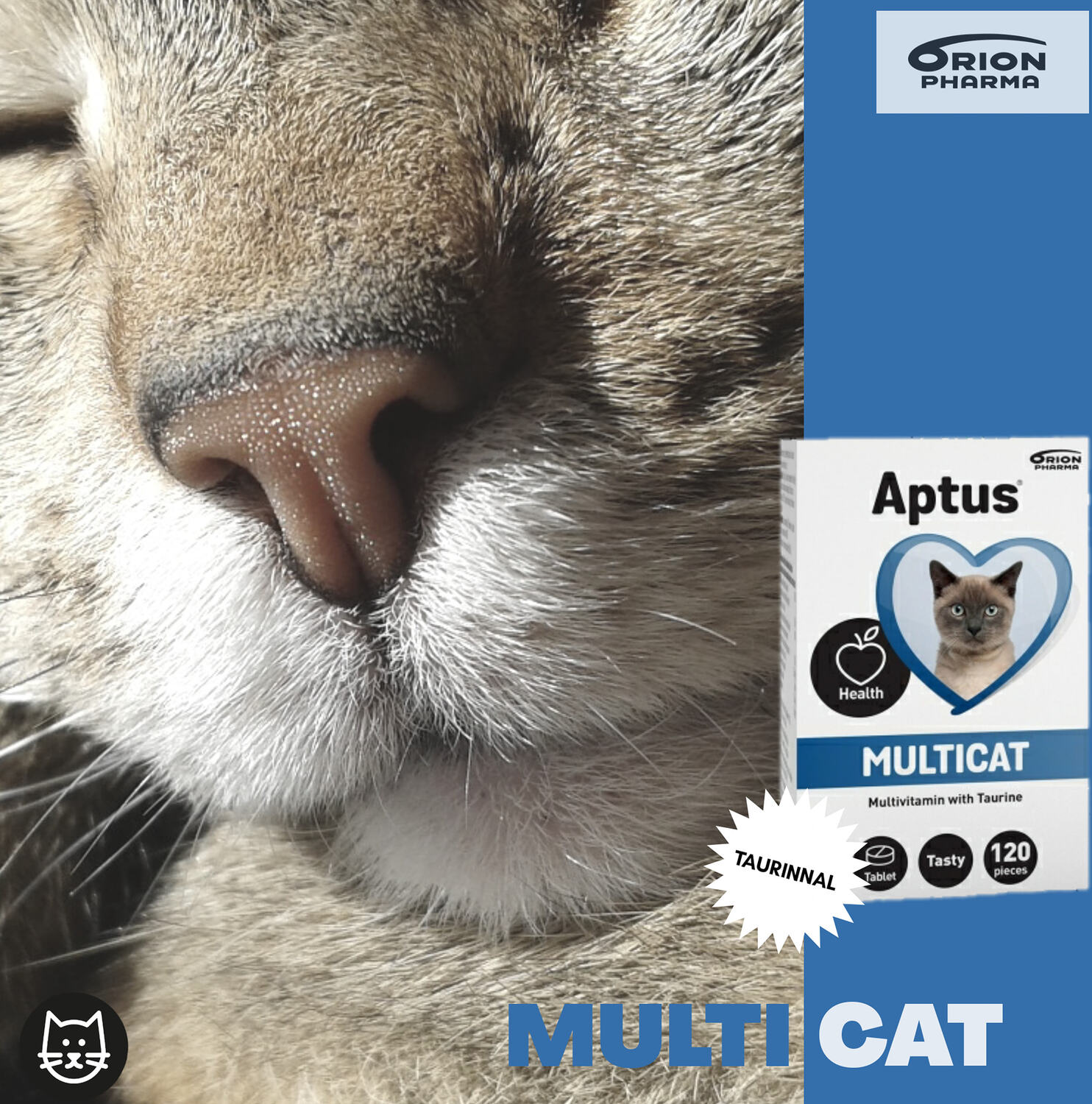 Aptus Multicat tablete | Supliment complementar pentru pisici - zoom