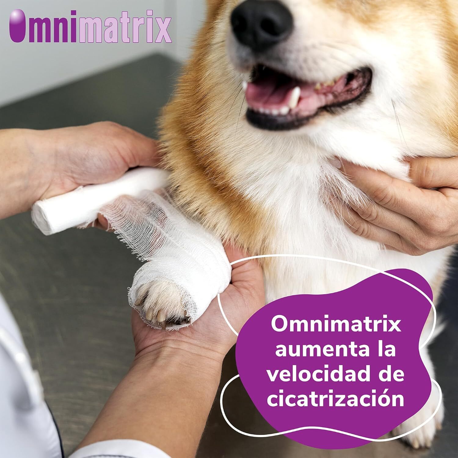 Omnimatrix cremă antiseptică și cicatrizantă pentru animale - zoom