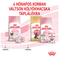 Royal Canin Mother & Babycat - Kölyök és anya macska száraz táp #6