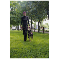 Hektor, kan kutyus gazdit keres #12