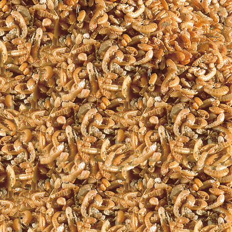 Sera Raffy I víziteknős táp