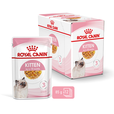 Royal Canin Kitten Jelly - Kölyök macska zselés nedves táp