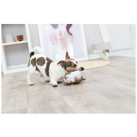 Trixie duci latex kutya sípoló hanggal #5