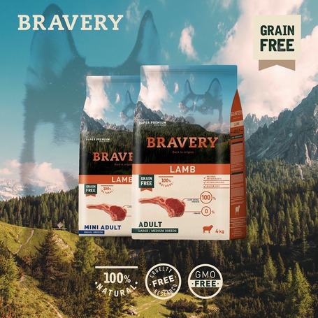 Bravery Dog Adult Medium/Large Grain Free Lamb