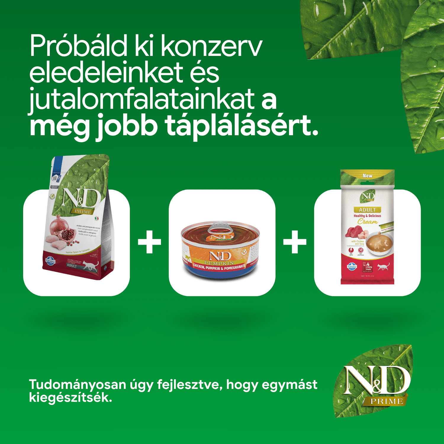 N&D Cat Prime Adult Chicken & Pomegranate | Száraztáp macskáknak
