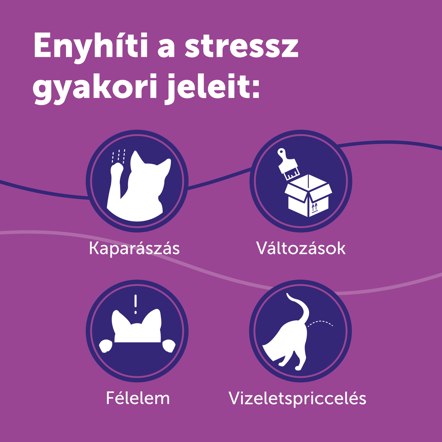 Feliway Classic nyugtató hatású párologtató macskáknak