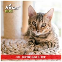 Fiprex Duo (~ Combo) rácsepegtető oldat macskáknak és vadászgörényeknek #3