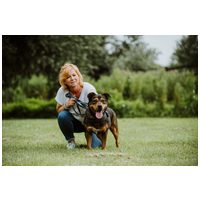 Wilson, 6 éves, 48 cm magas, kan #5