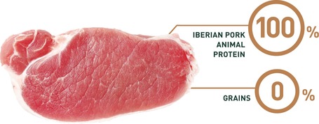 Bravery Dog Adult Medium/Large Iberian Pork