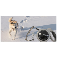 Automata póráz ajándékba a spanyol Bravery kutyatápokhoz