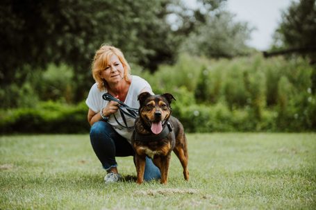 Wilson, 6 éves, 48 cm magas, kan