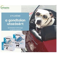 Zylkéne nyugtató kapszula közepes és nagytestű kutyáknak #6