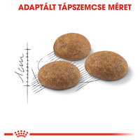 Royal Canin Outdoor - Szabadba gyakran kijáró, aktív felnőtt macska száraz táp #2