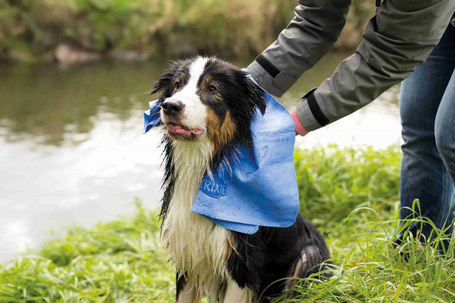 Trixie szürke kutyatörcsi