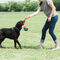 Chuckit! Rope Fetch labda kötéllel kutyáknak