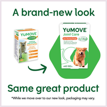 Lintbells YuMOVE Joint Care Young l Ízületvédő tabletta növendék kutyák részére