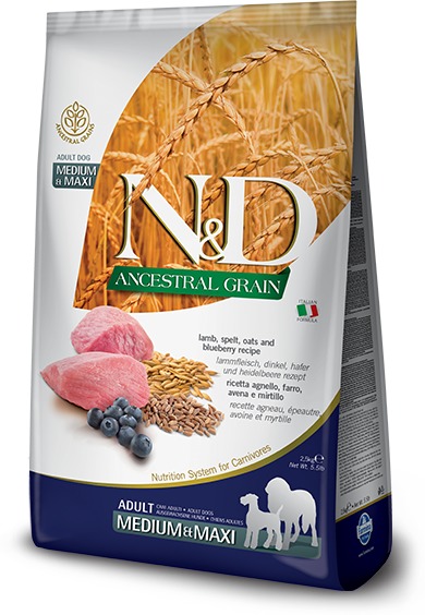 N&D Dog Adult Medium & Maxi Lamb & Blueberry Ancestral Grain