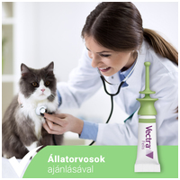 Vectra Felis bolhák elleni spot on macskáknak #15