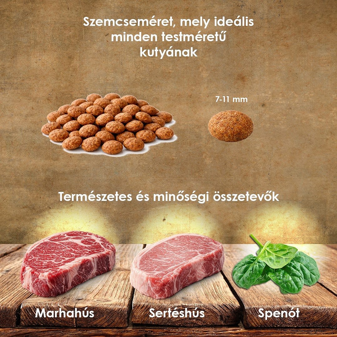 Happy&Fit Professional Adult Beef & Pork, Spinach - zoom
