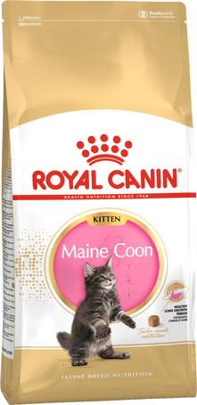 Royal Canin Maine Coon Kitten - Maine Coon kölyök macska száraz táp