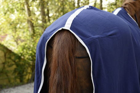 Covalliero RugBe Economic polár lótakaró