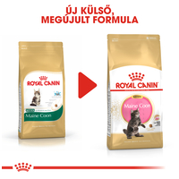 Royal Canin Maine Coon Kitten - Maine Coon kölyök macska száraz táp #10