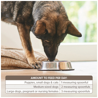 Beaphar Bone Builder - Csonterősítő kutyáknak és macskáknak #5