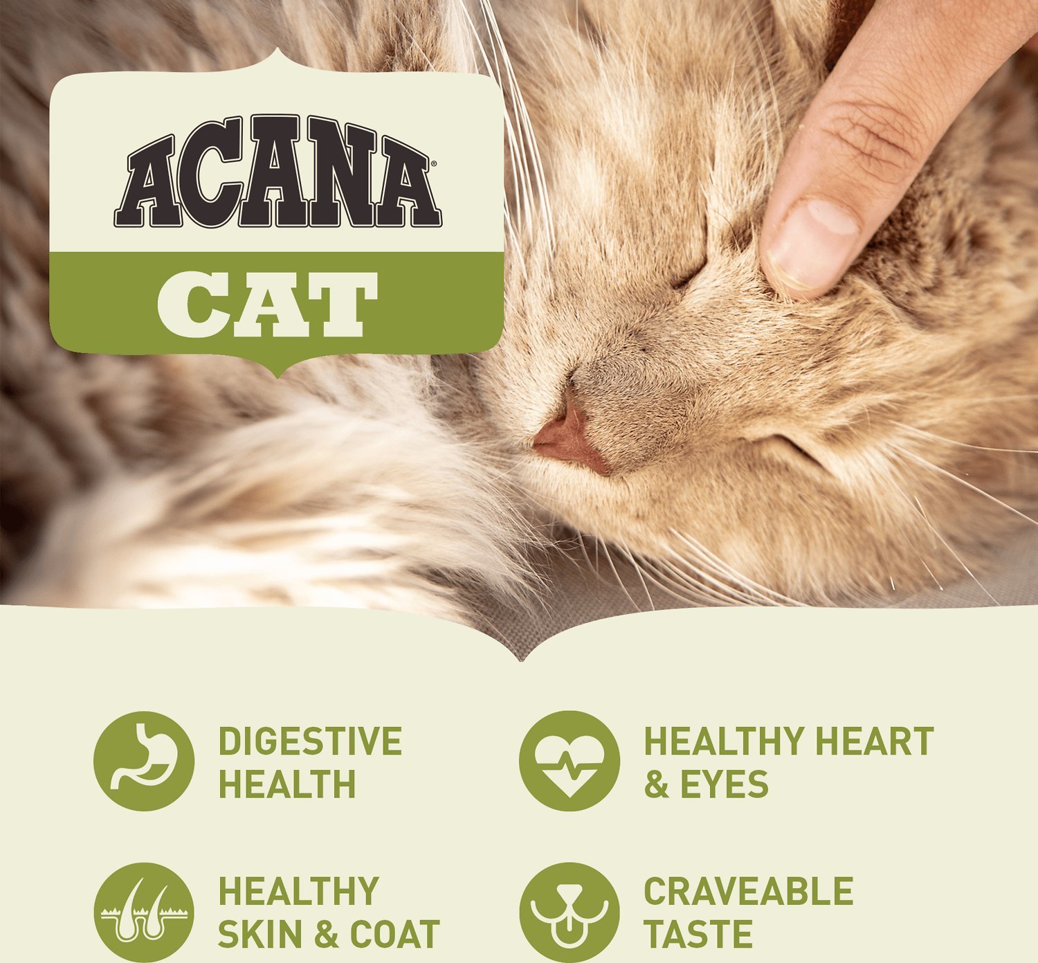Acana Grasslands Cat & Kitten - Hrană pentru pisici fără cereale - zoom