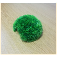 Ikráztató barlang #2