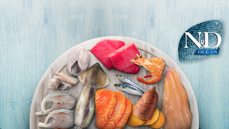 N&D Dog Ocean Adult Mini sütőtök, tőkehal & narancs | Kistestű felnőtt kutyák részére