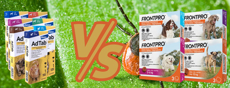 AdTab vs FrontPro - Melyik a jobb kullancs elleni tabletta? Melyik adható csak a kutyának és melyik a macskának is?